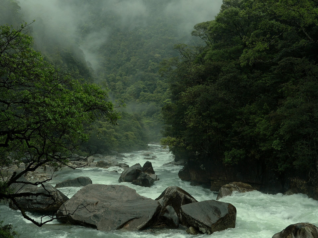 Ultimate Guide to Wuyishan-武夷山市必去景点