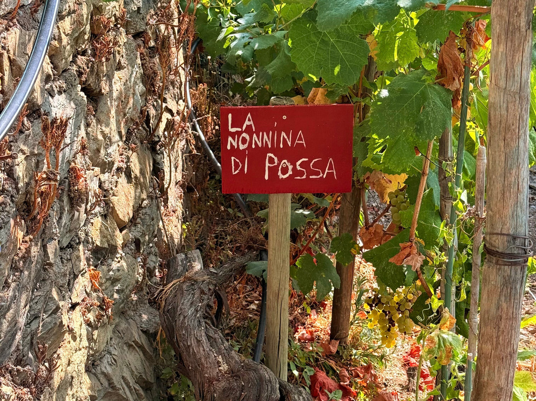 Azienda Agricola Possa-里奥马焦雷必去景点