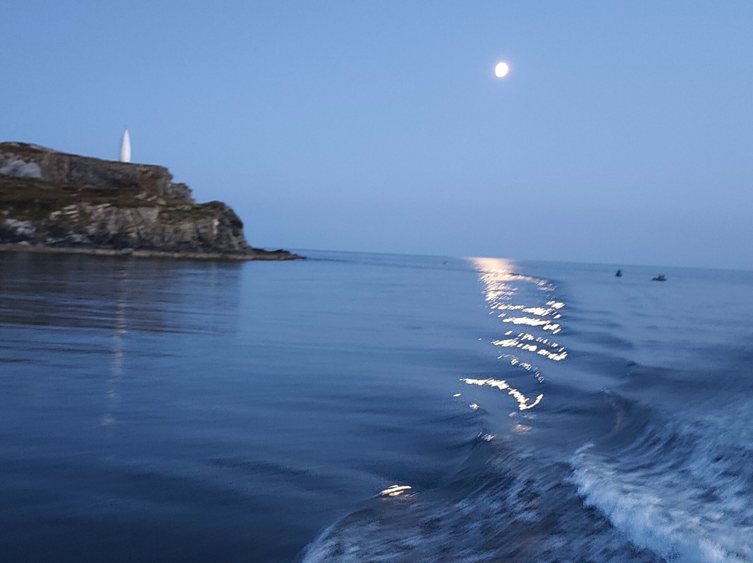 Cape Clear Island - Cape Clear Ferries-Baltimore必去景点