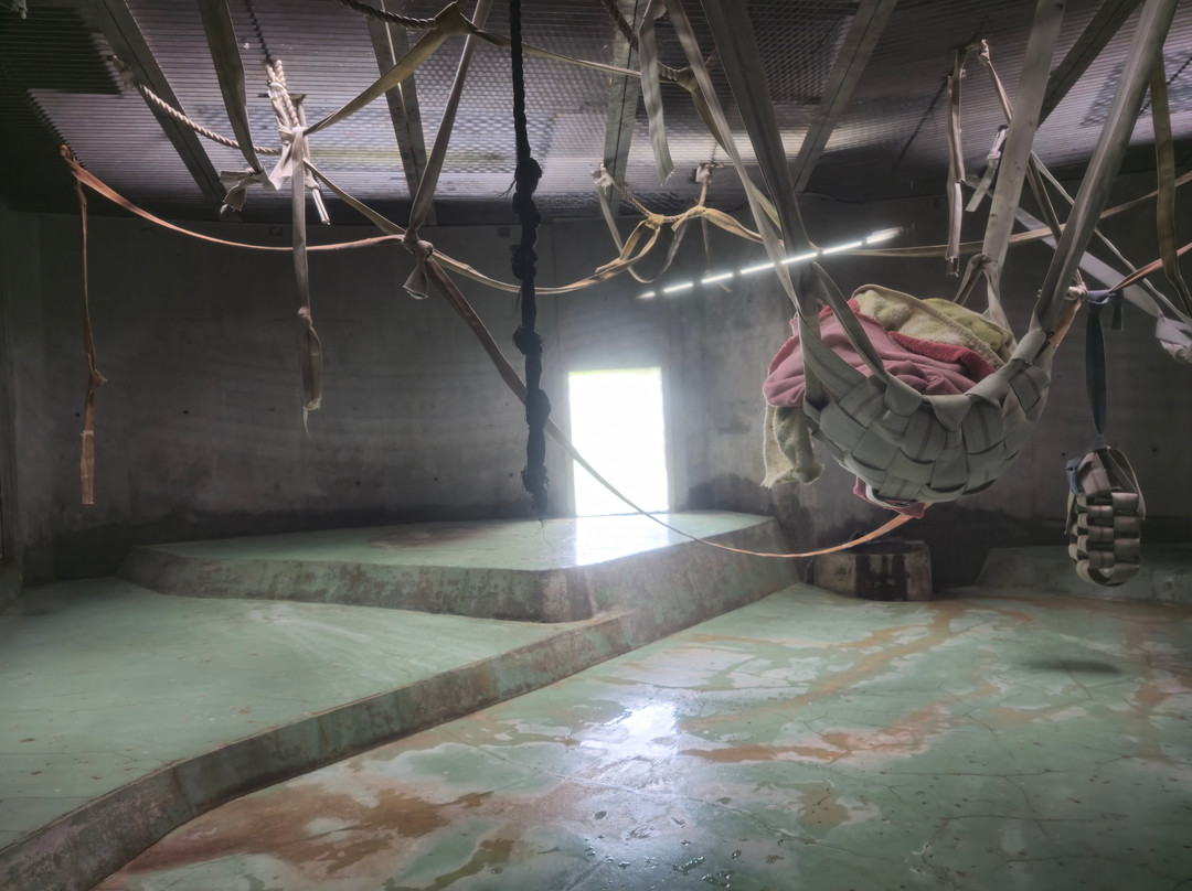 Awajishima Monkey Center-洲本市必去景点