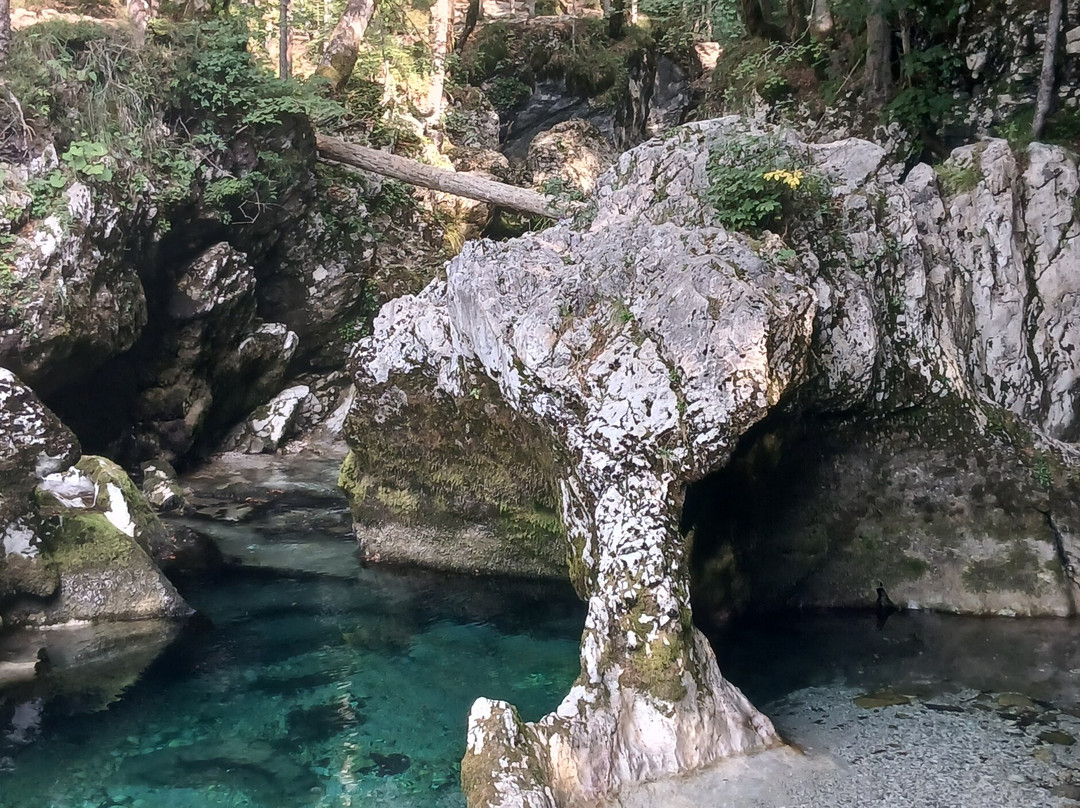 Mostnica Gorge-Stara Fuzina必去景点