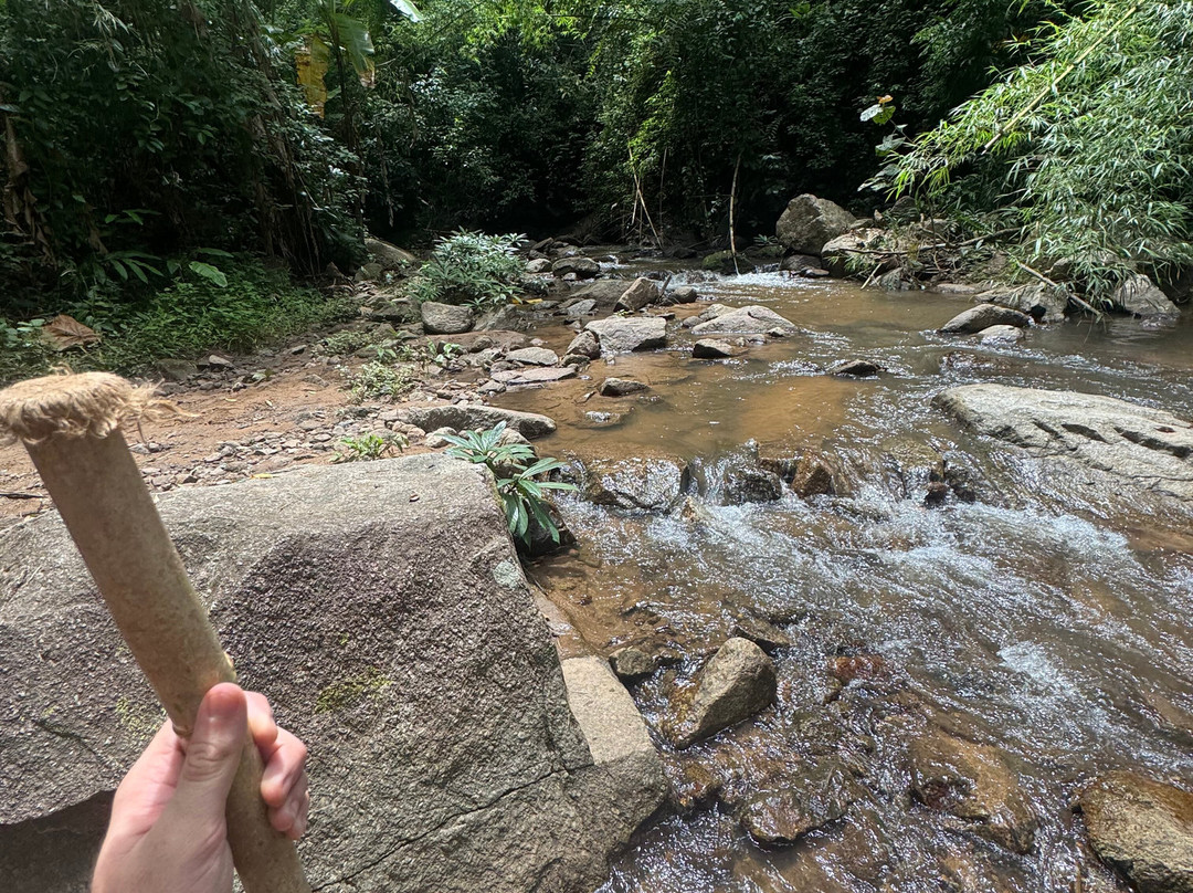 Pon Elephant Thailand-清迈必去景点