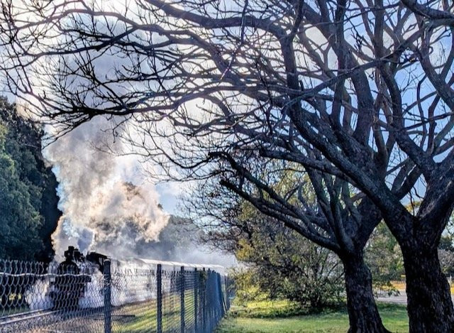 Southern Downs Steam Railway-Warwick必去景点