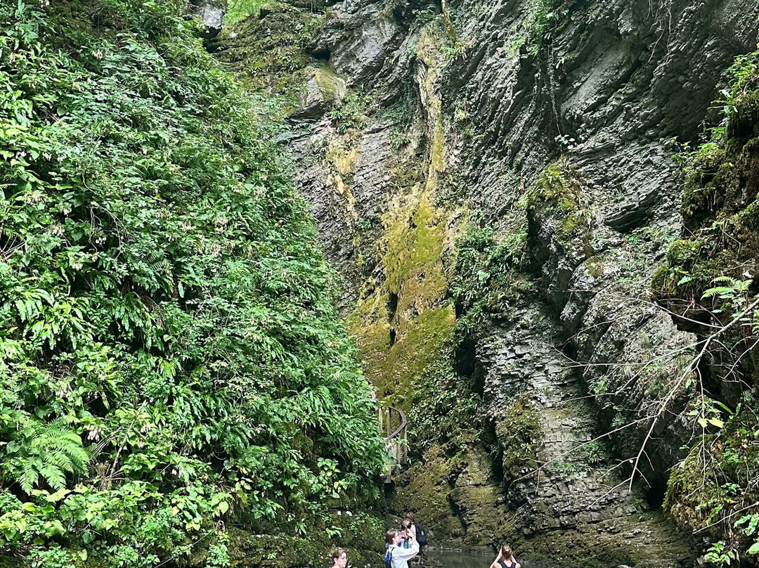 Kozjak Waterfalls-Kobarid必去景点