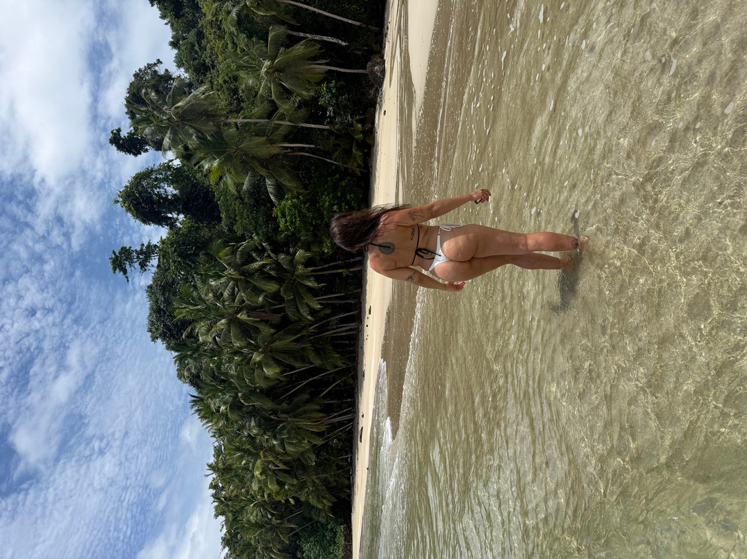 Osa Viva Tours-Puerto Jimenes必去景点
