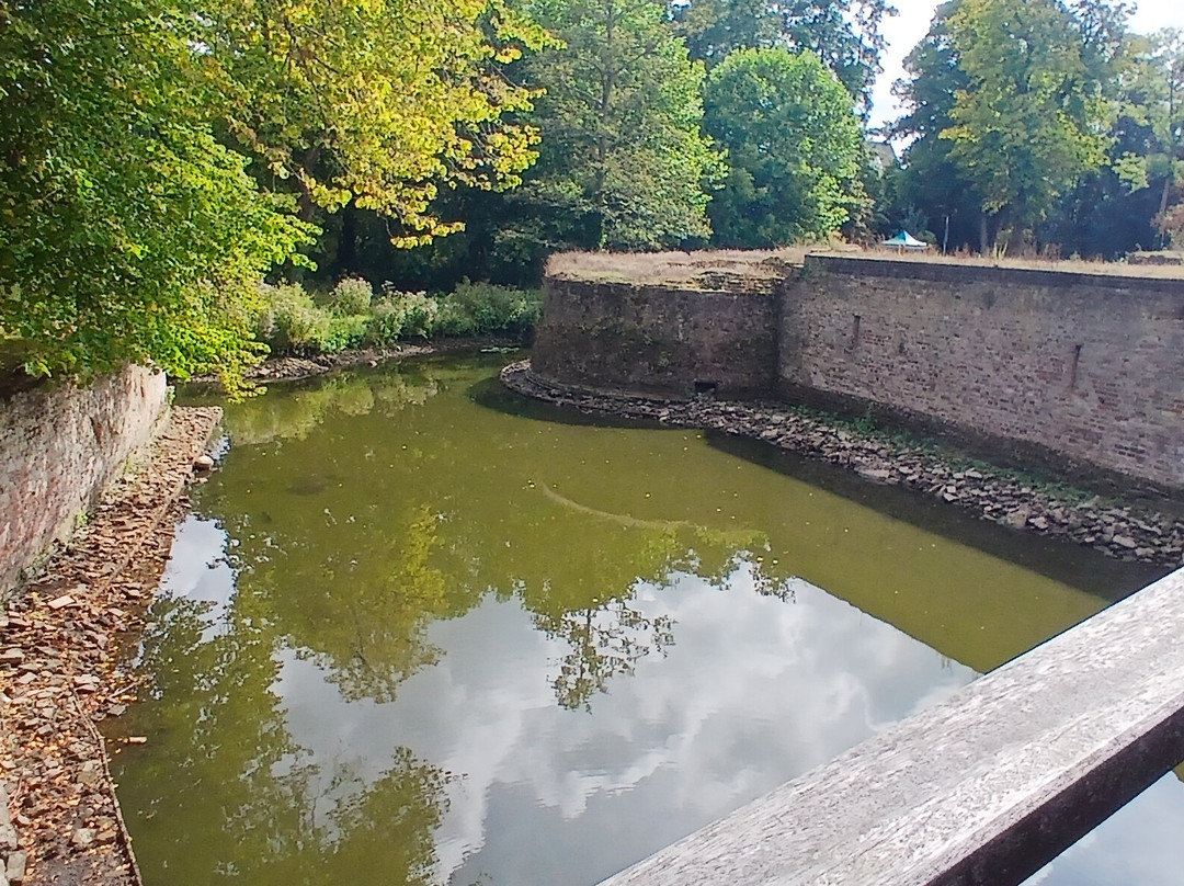 Ruins of Castle Brederode-Santpoort-Zuid必去景点