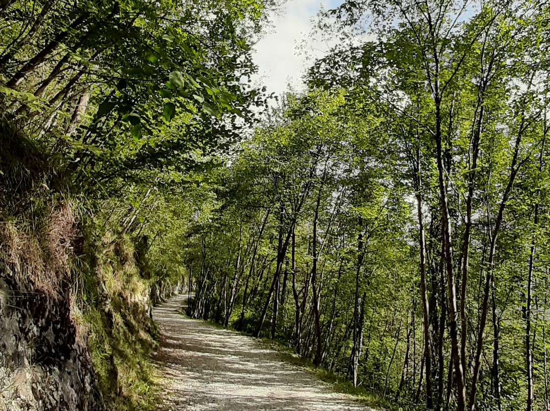 Pozze Smeraldine-Tramonti di Sopra必去景点