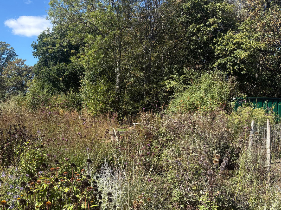 Warnham Local Nature Reserve-霍舍姆必去景点