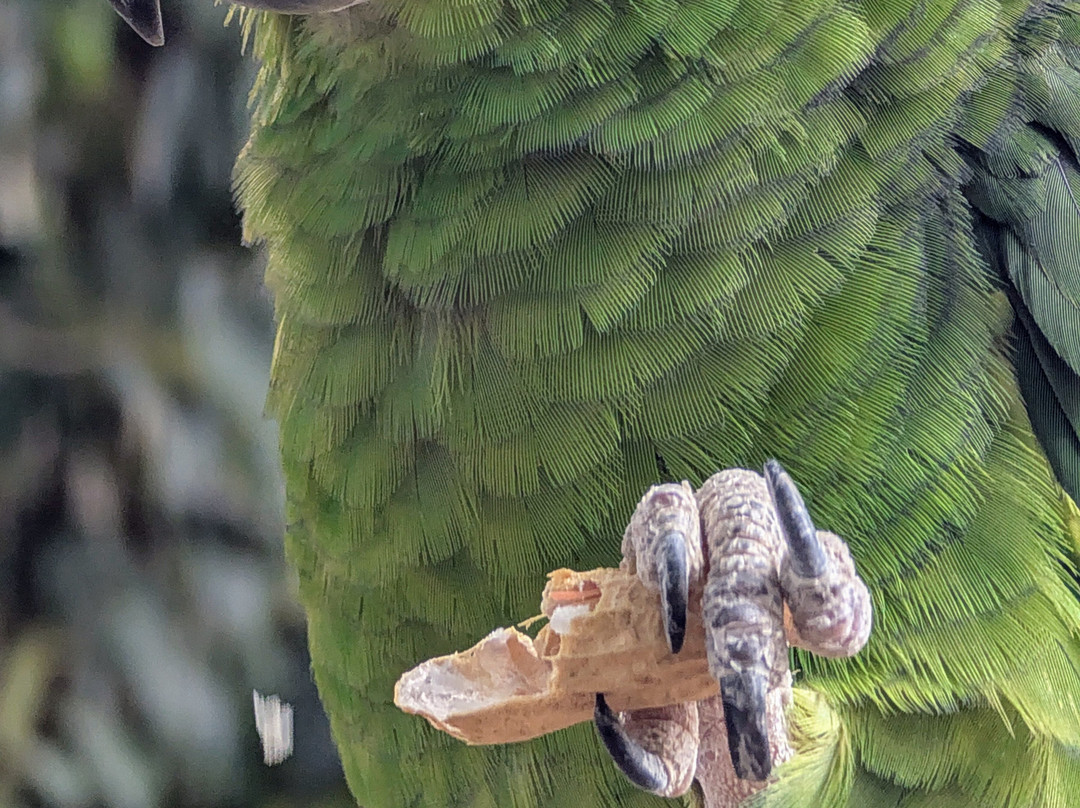 Lincolnshire Wildlife Park-Friskney必去景点
