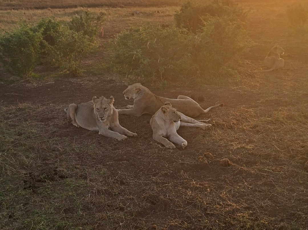 Watamu Diego Safari Day Tours-瓦塔木必去景点
