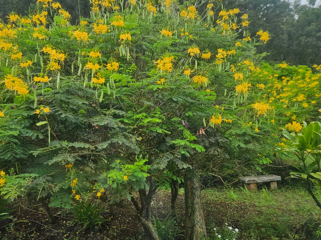阿勒顿花园-坡伊普必去景点