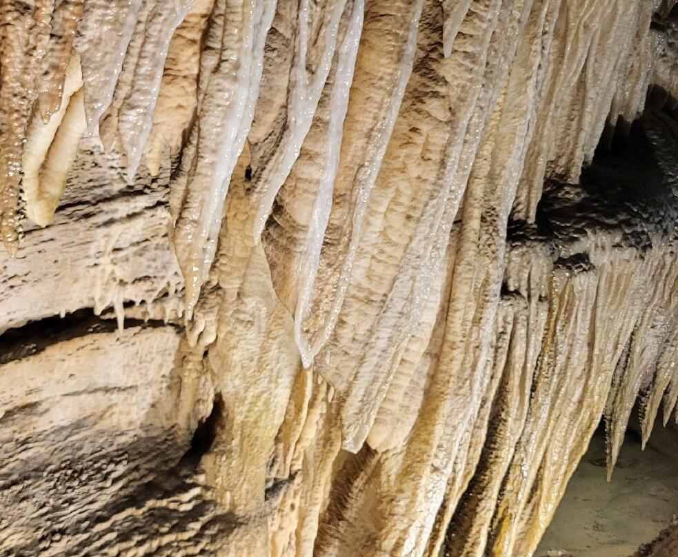 Grotta Antro del Corchia-Levigliani必去景点