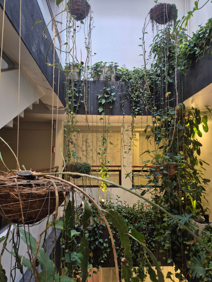 圣何塞市中心总统酒店-旅行者