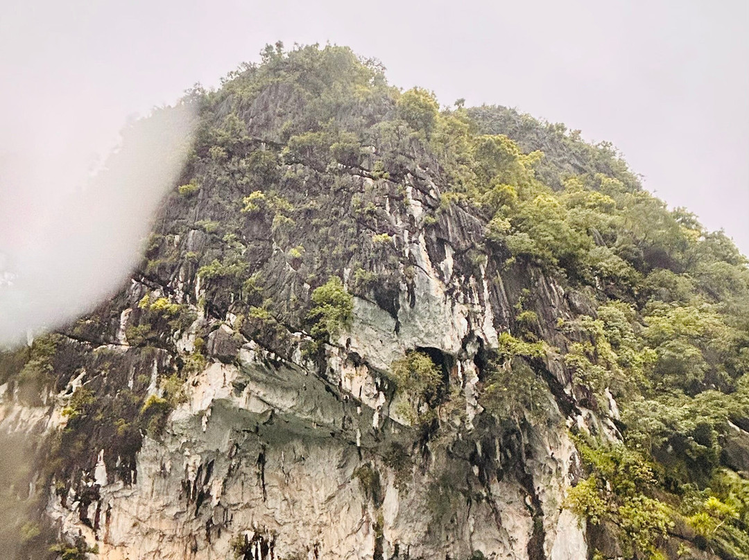 Verdure Lotus Cruises-团洲岛必去景点