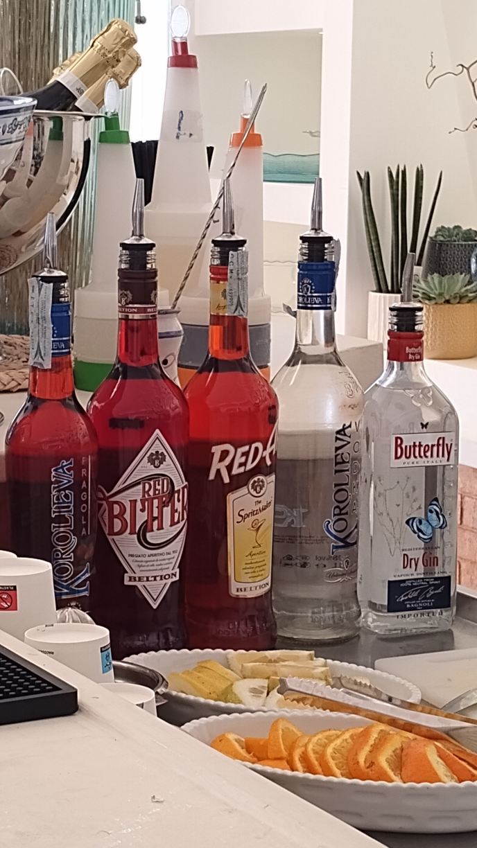 德尔菲诺海滩酒店-旅行者