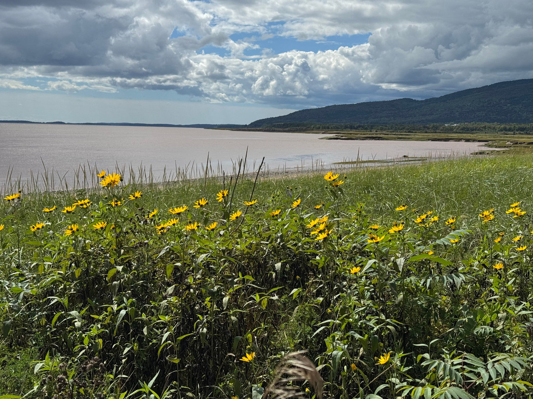 Fundy National Park-阿尔马必去景点