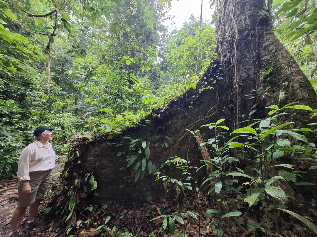 1StopBorneo Wildlife-斗湖必去景点