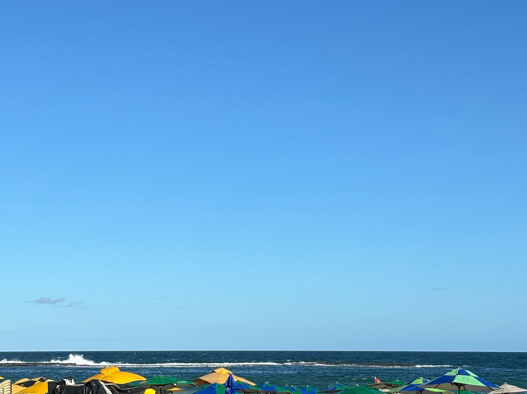 Praia do Francês-Praia do Frances必去景点
