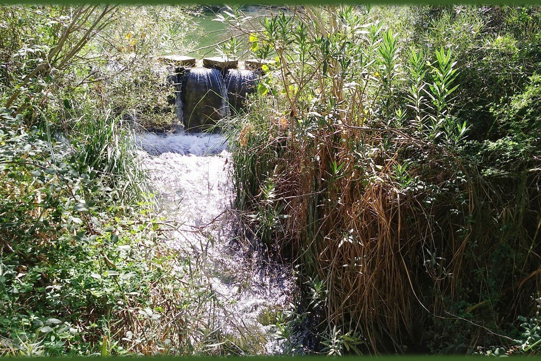 Charco de la Pringue-Villanueva del Arzobispo必去景点