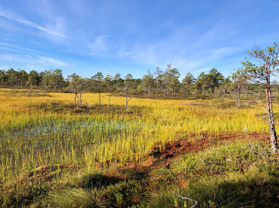 Uuejärve Matkapesa hikes and accommodation @VisitKorvemaa next to @Lahemaa National Park-Aegviidu必去景点