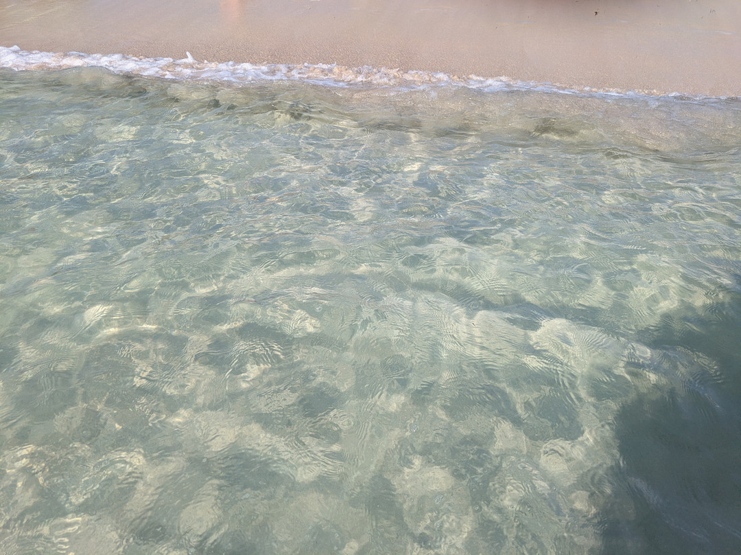 Futura Club Spiagge Bianche主图