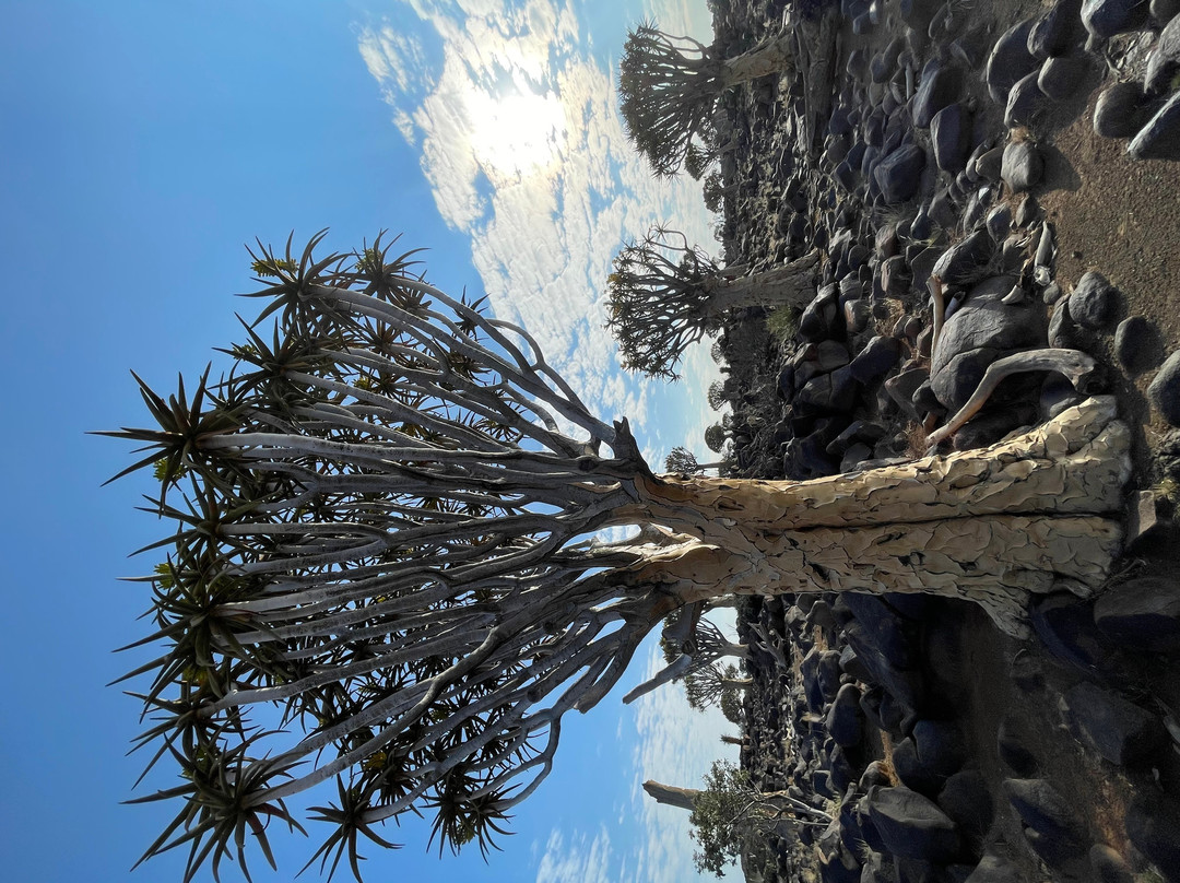Garas Park Camp-Keetmanshoop必去景点