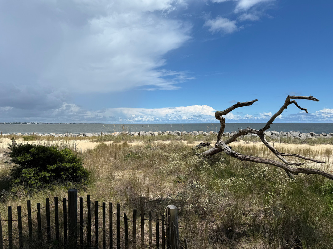 Jekyll Island-吉柯岛必去景点