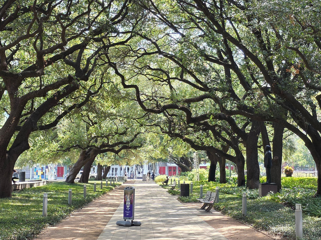 Discovery Green-休斯顿必去景点