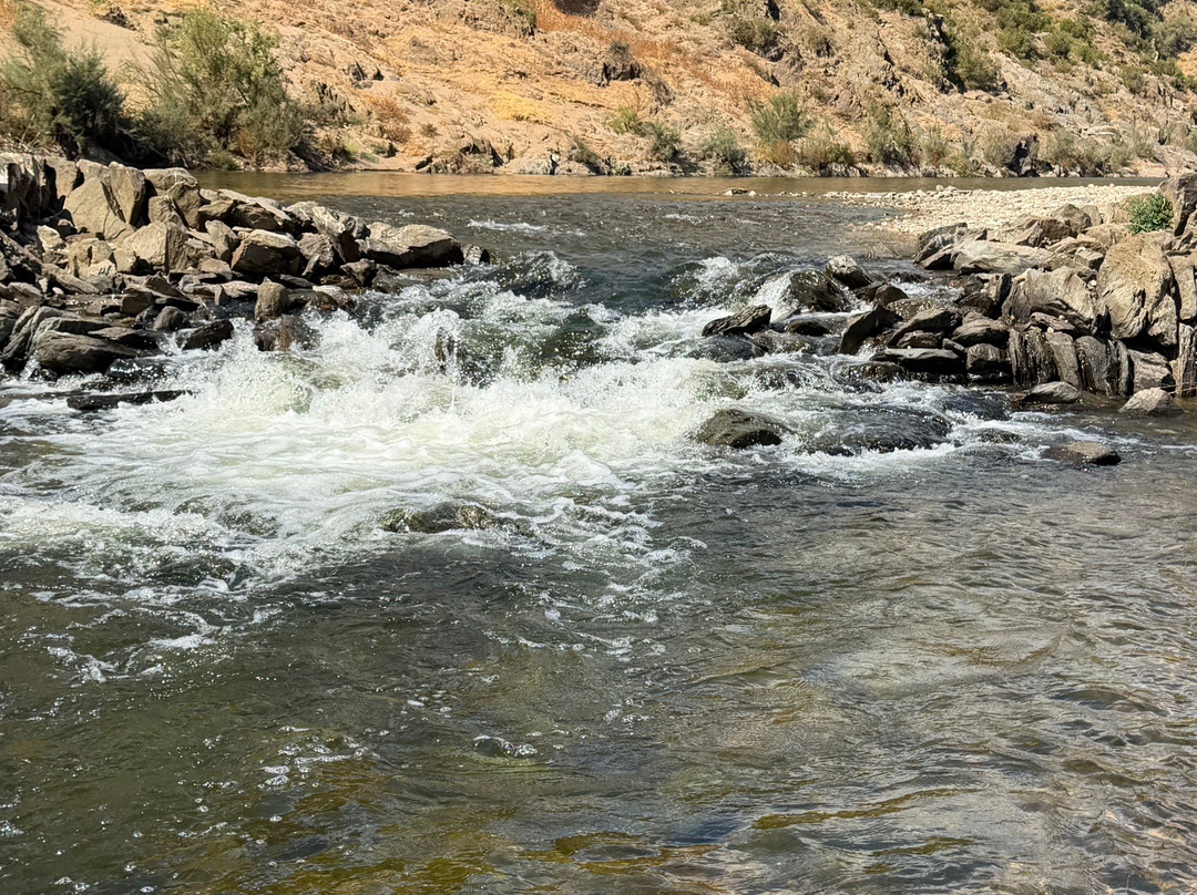 Parc Natural de la Vall del Guadiana-Mertola必去景点