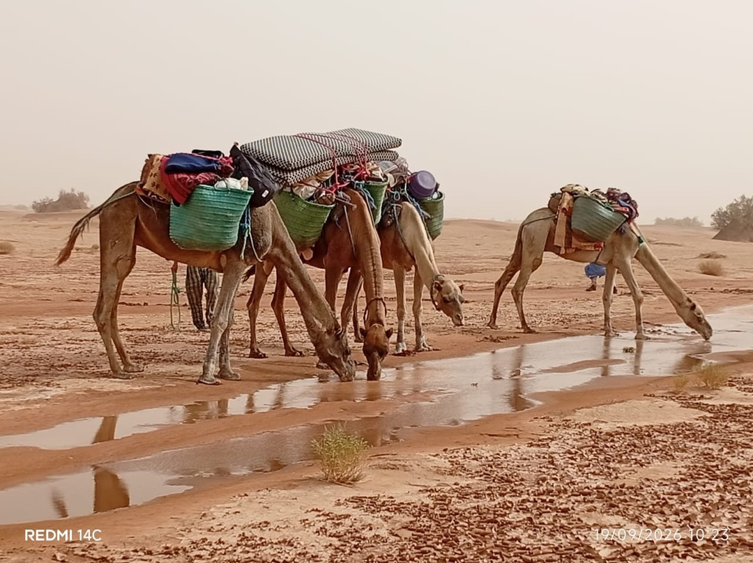 Voyage Désert Maroc-迈哈米德必去景点