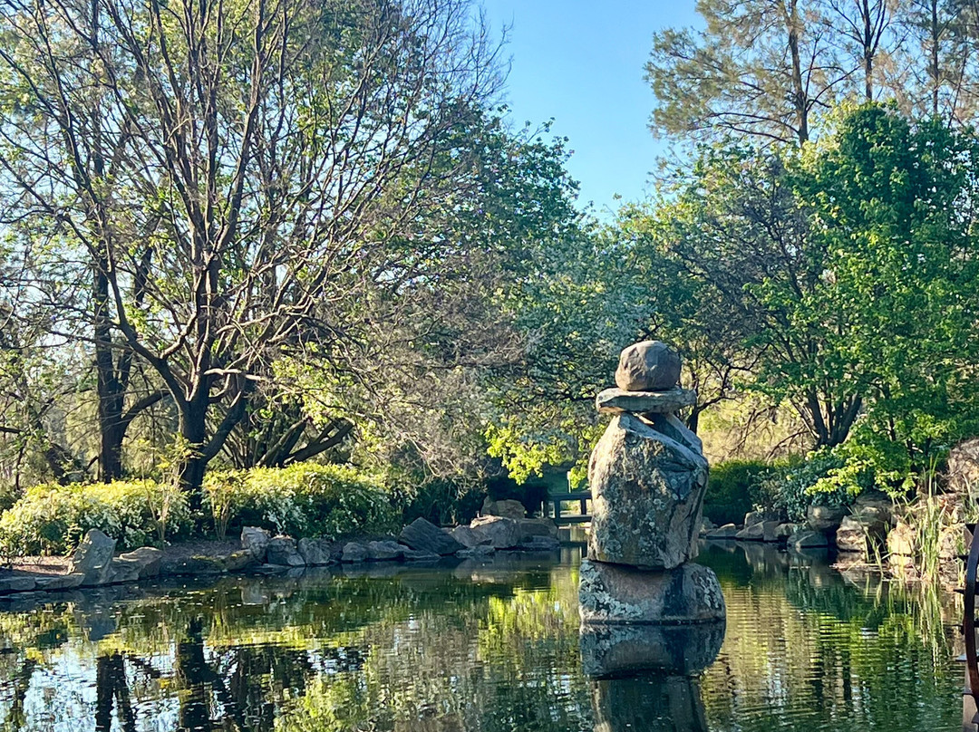 Lambing Flat Chinese Tribute Garden-Young必去景点