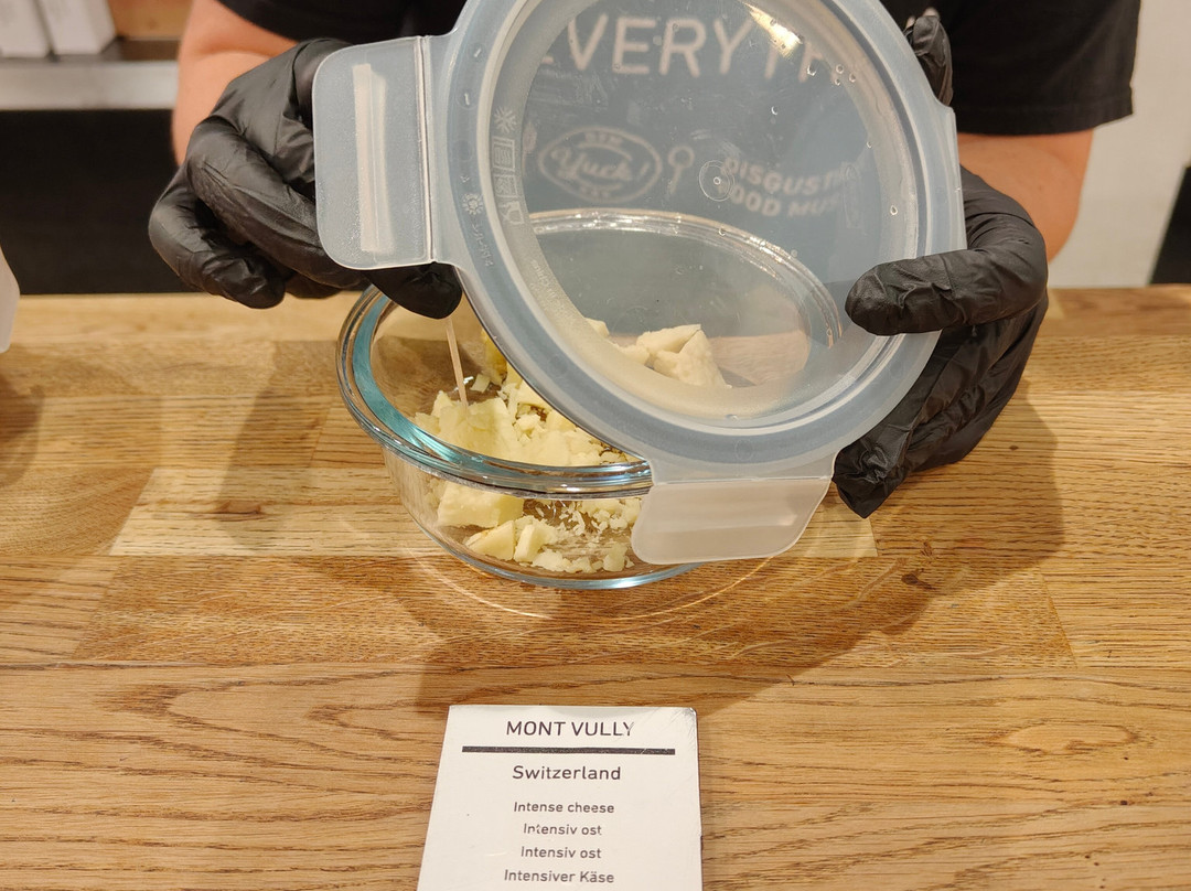 Disgusting Food Museum-马尔默必去景点