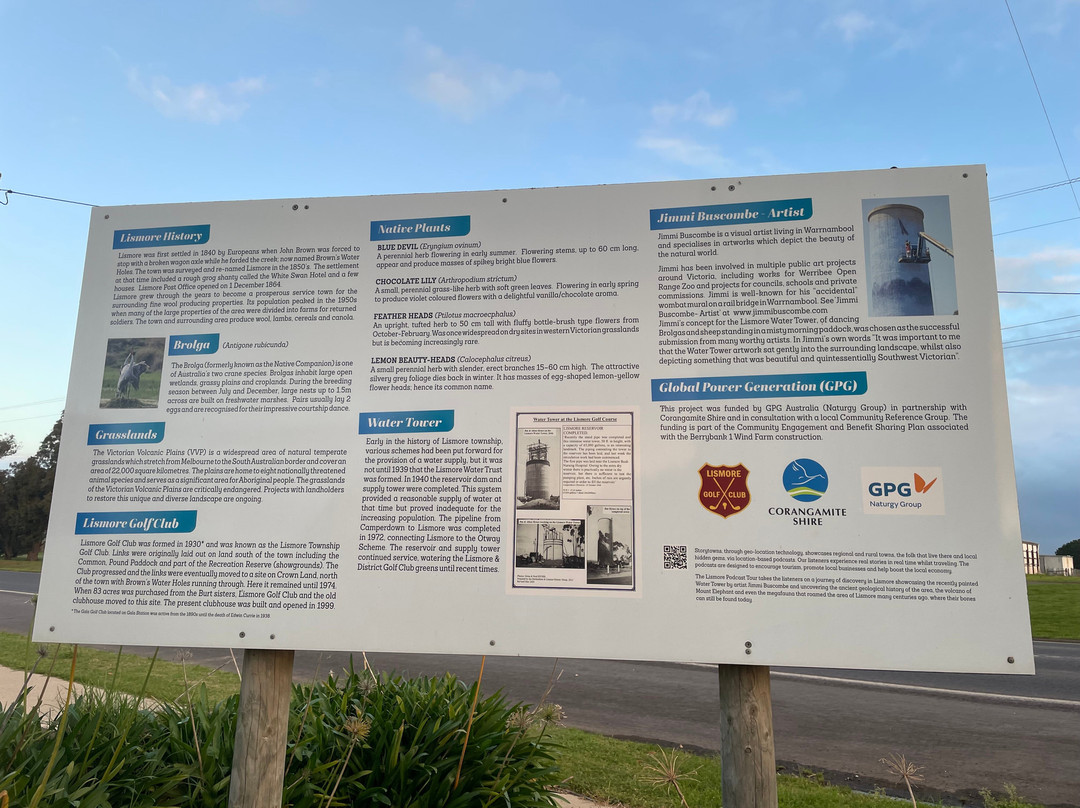 Lismore Water Tower Art