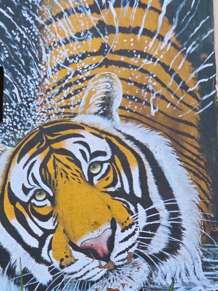 Juna Mahal丛林度假村Ranthambore-旅行者