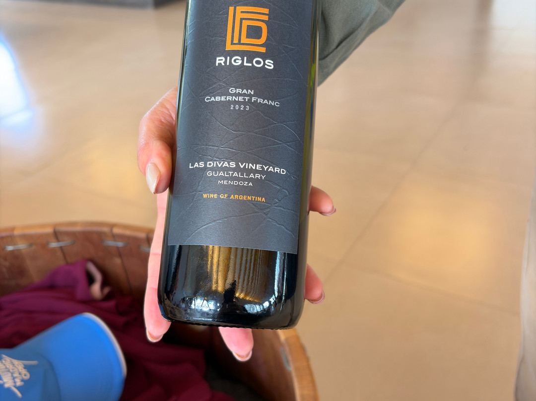 Huarpe Riglos Family Wines-阿格雷洛必去景点