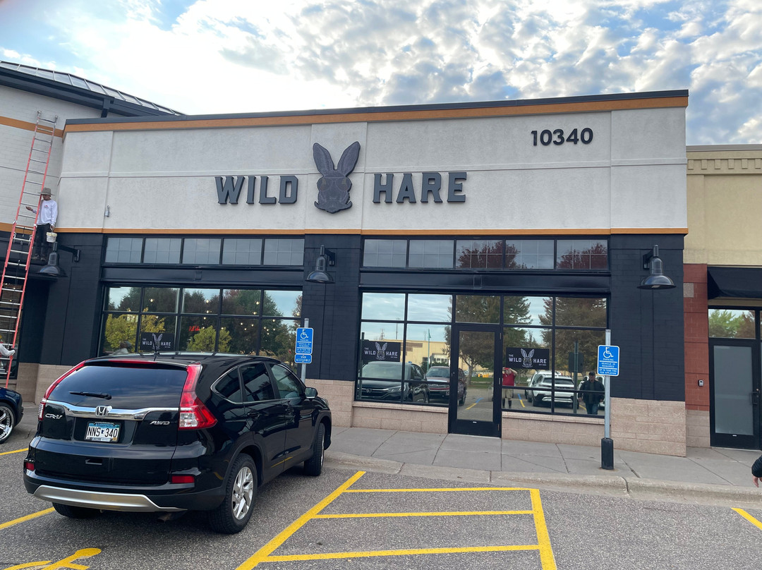The Wild Hare