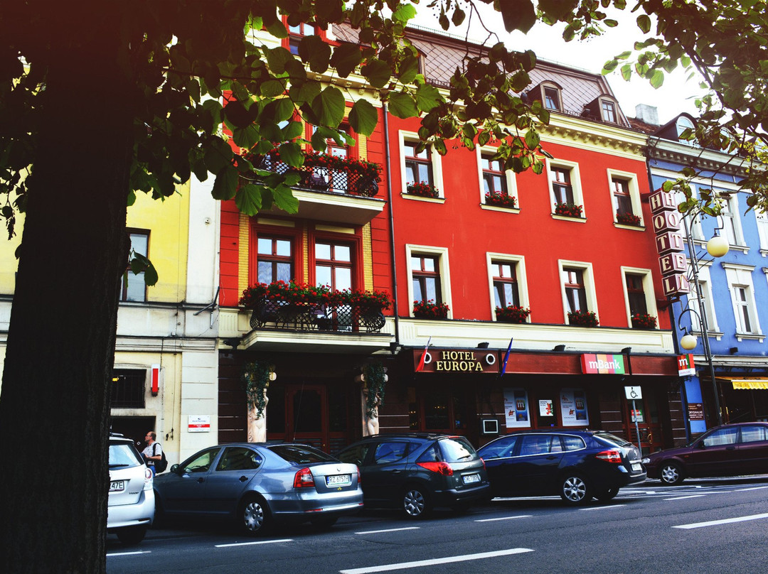 Greater Poland Province旅游攻略图片