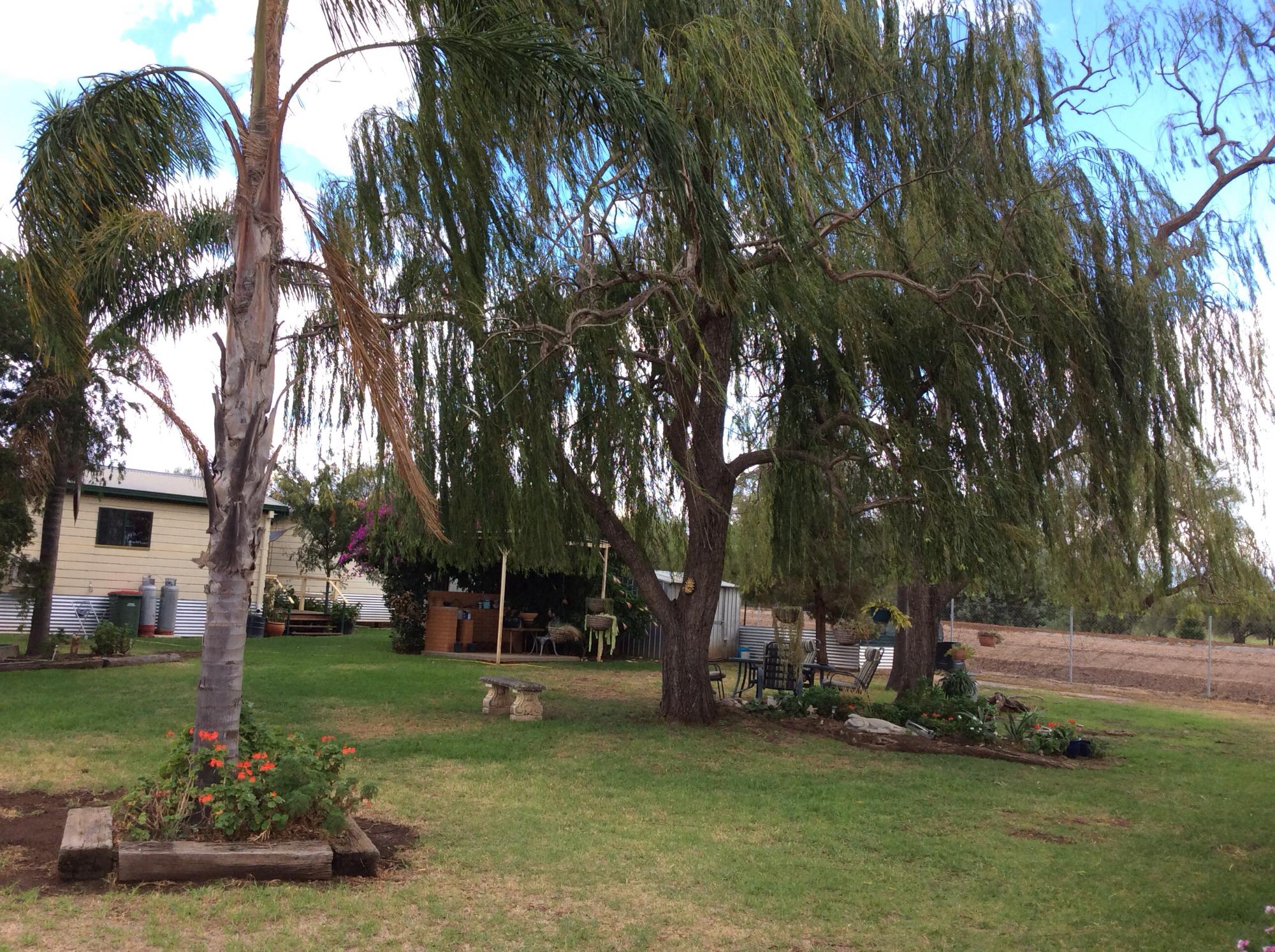 Narromine Aerodrome Tourist Park & Motel-浴室