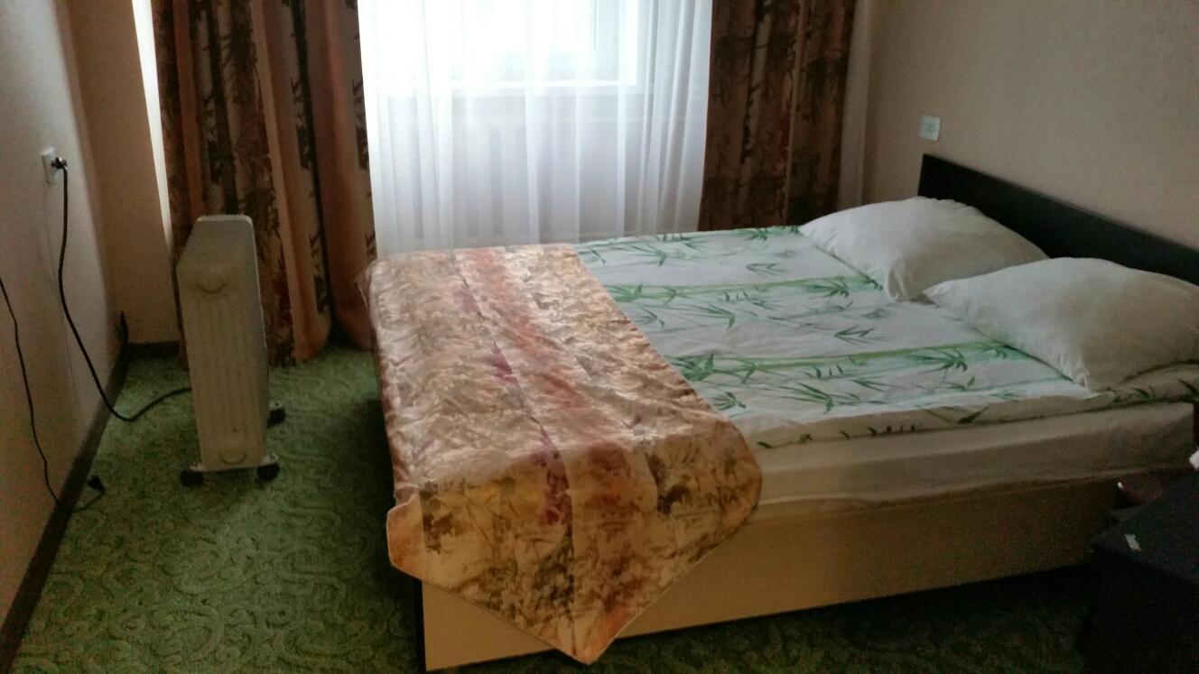 Geyzer Hotel-客卧