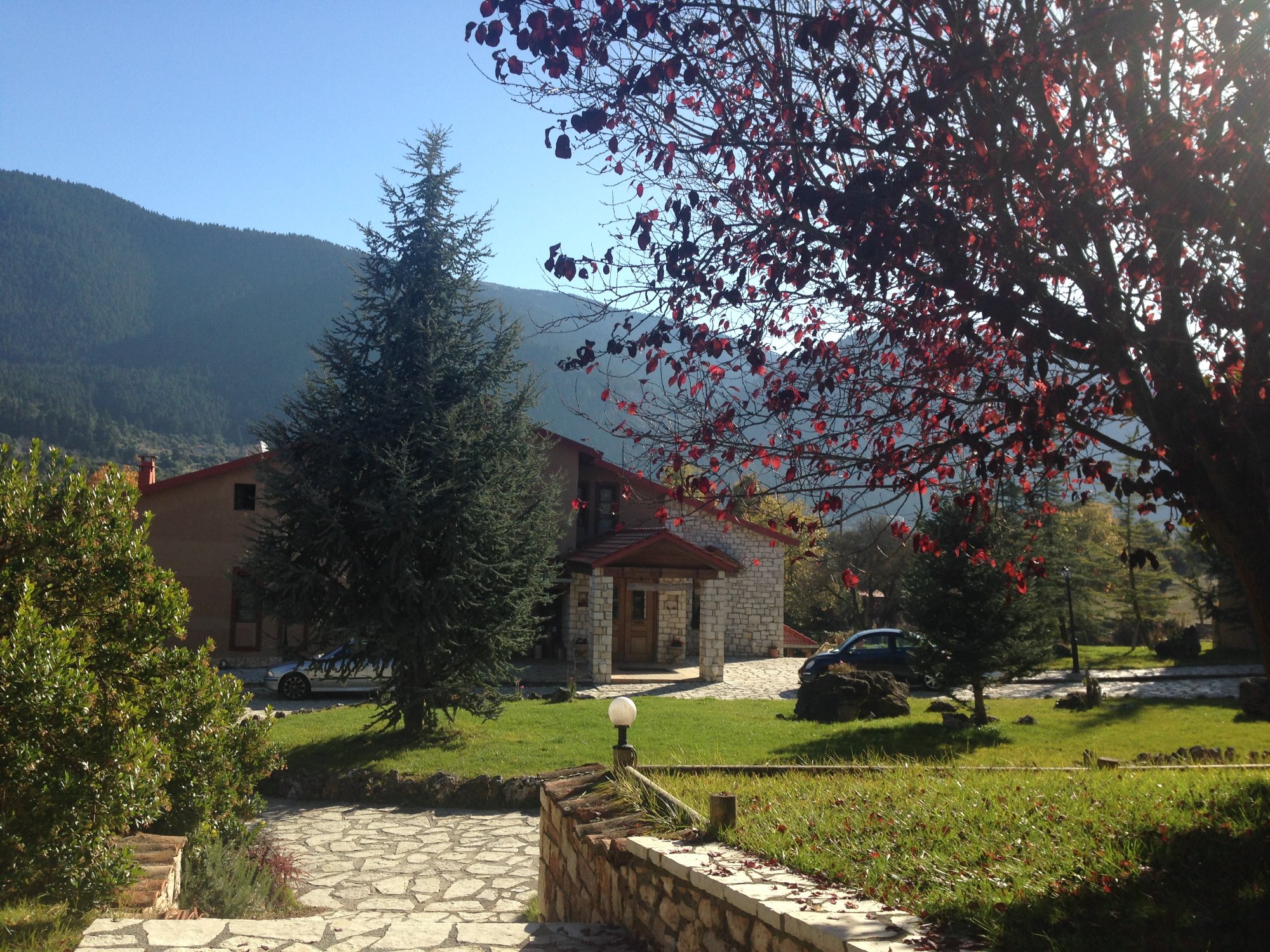 Vitina House Forest Resort-官方