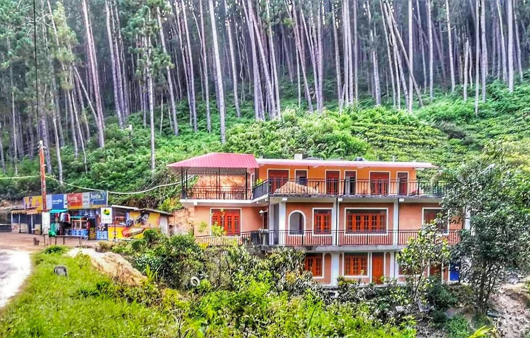 Pine Trees Homestay主图