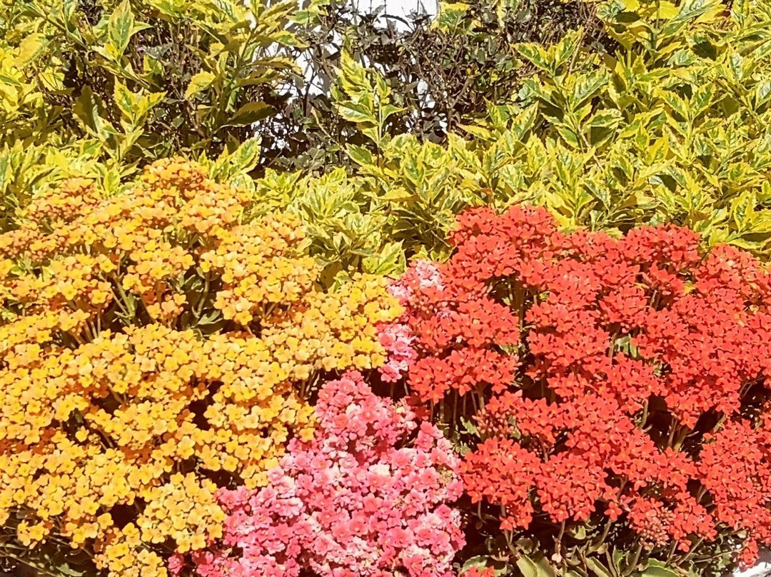 Atlixco酒店住宿-Rincon Sagrado Hotel Boutique & Spa