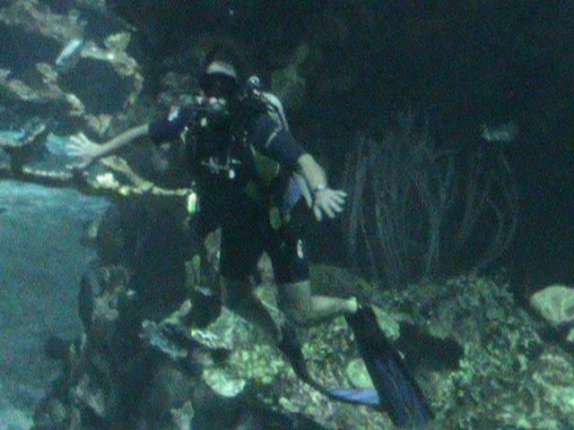 Epcot Divequest-奥兰多必去景点