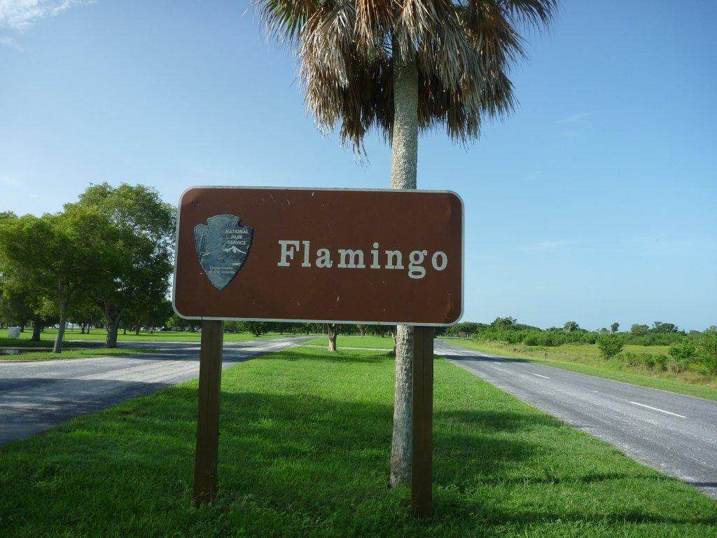 Flamingo景点图片