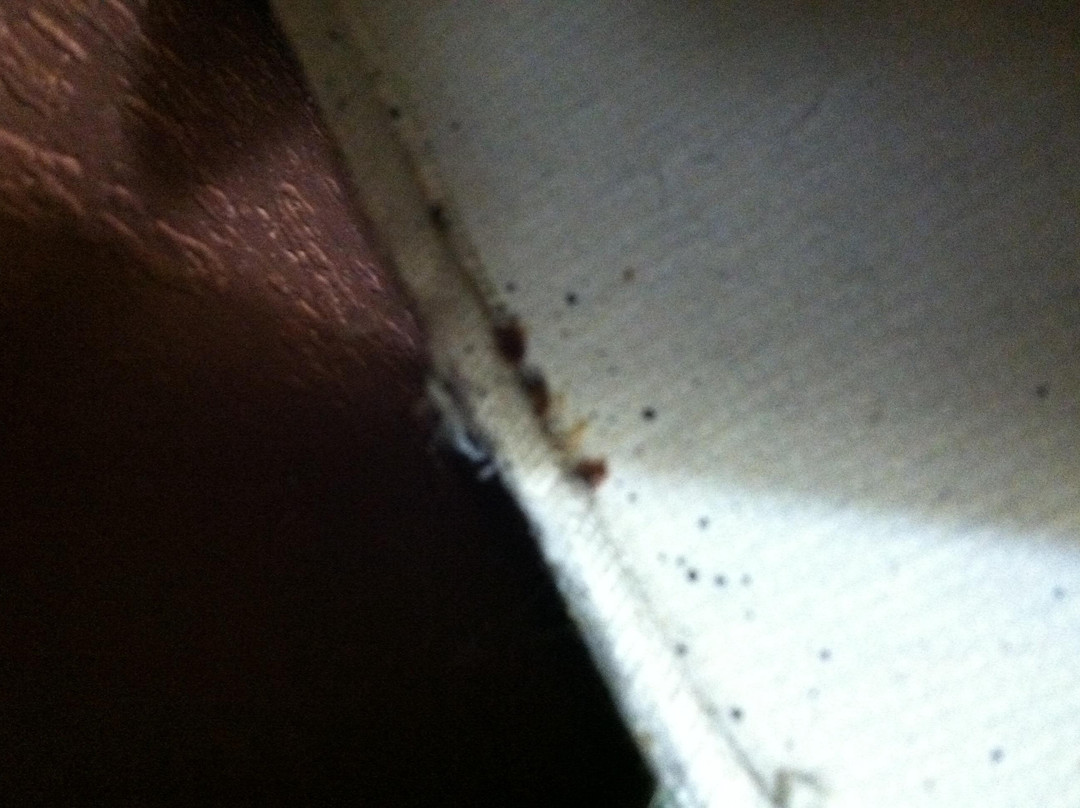 Relax Inn Pauls Valley