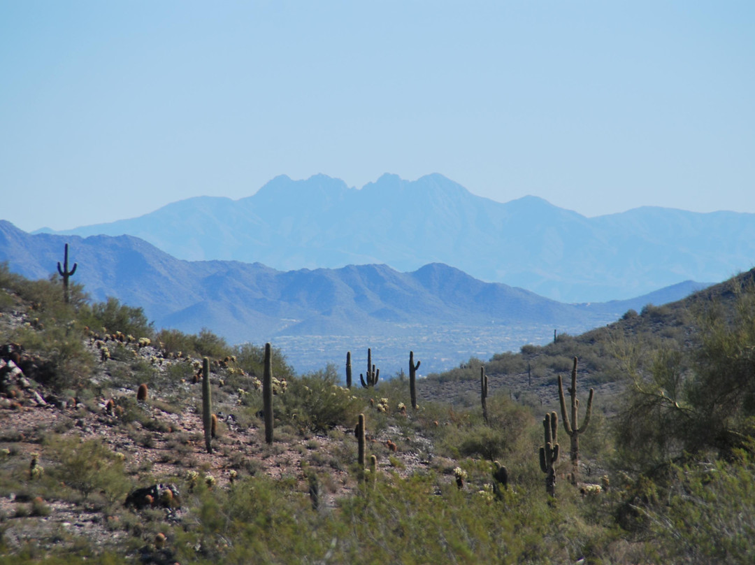 Phoenix Mountain Preserve景点图片