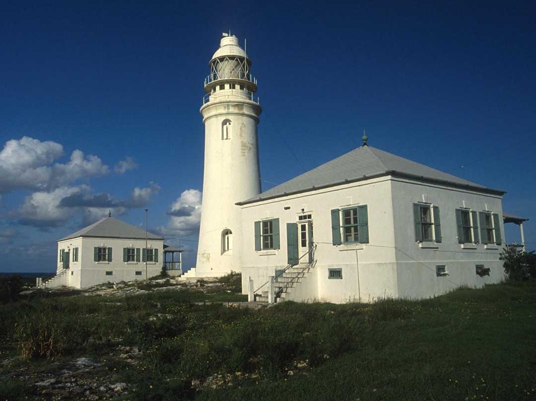 Dixon Hill Lighthouse景点图片