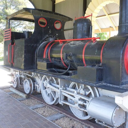 Pioneer Park-Naracoorte必去景点