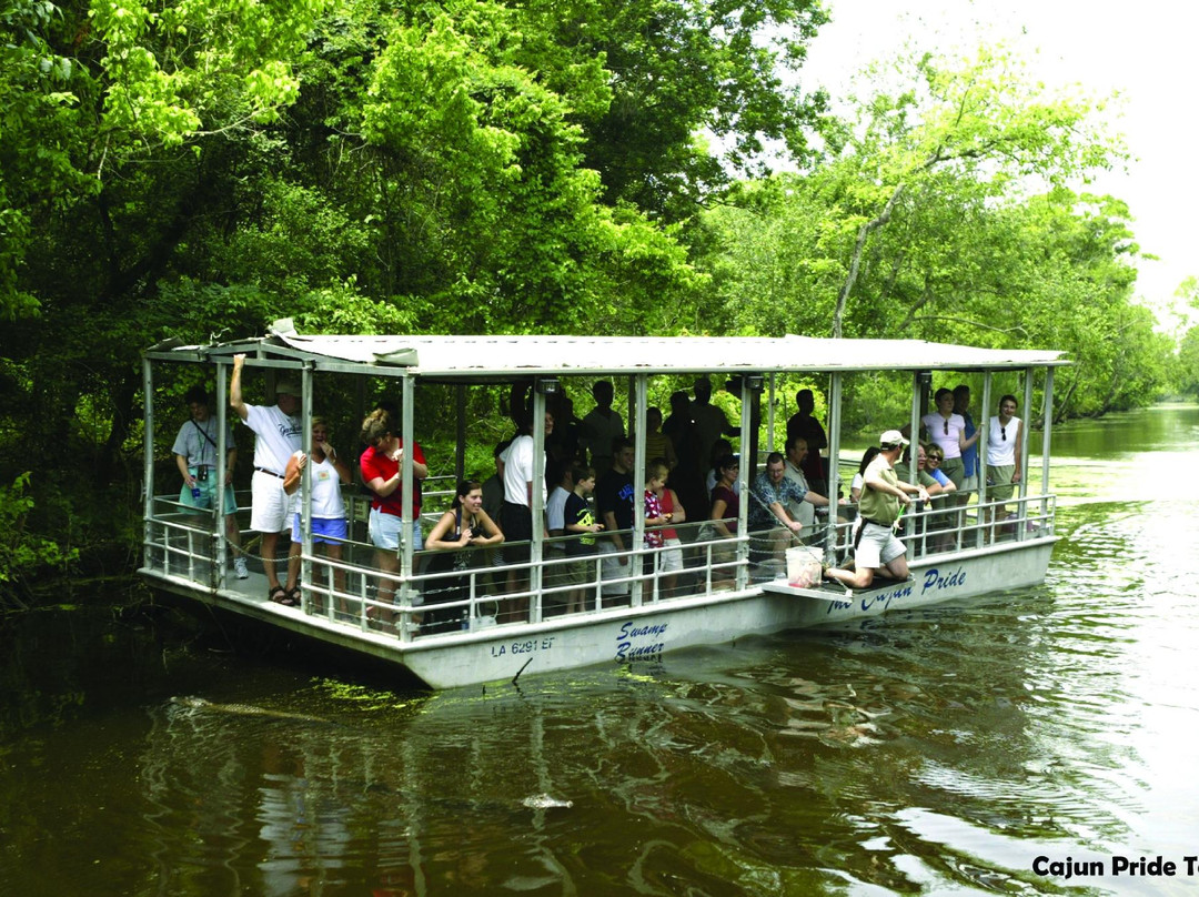 Cajun Pride Swamp Tours景点图片