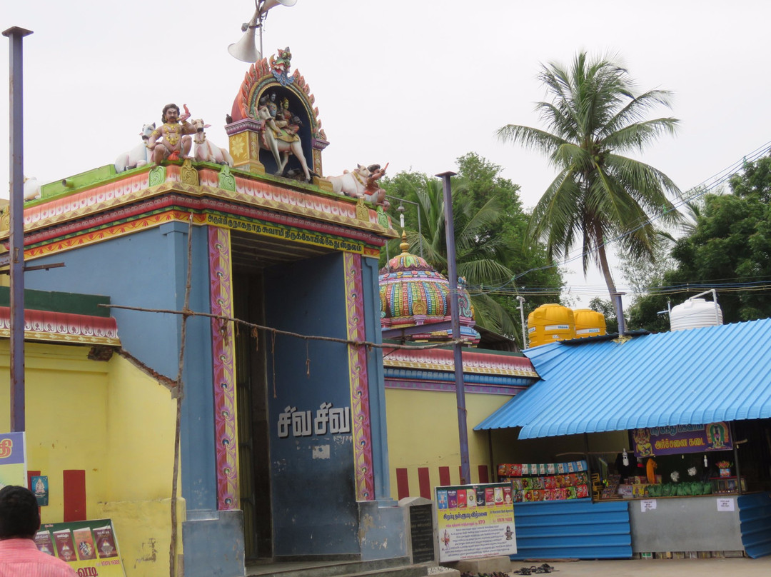 Naganathaswamy Temple景点图片